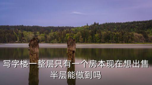 寫字樓一整層只有一個房本現在想出售半層能做到嗎