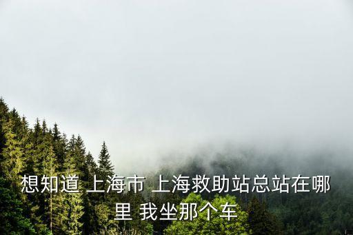 想知道 上海市 上海救助站總站在哪里 我坐那個車