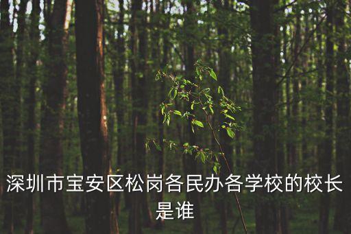 校長招聘信息深圳，深圳市寶安區松崗各民辦各學校的校長是誰