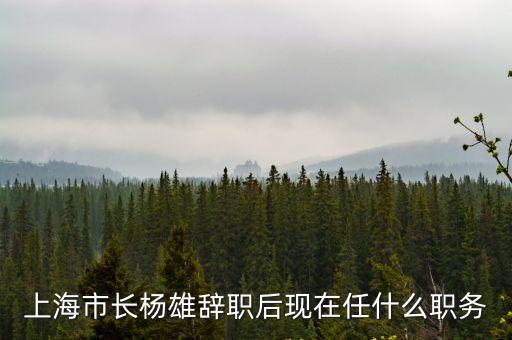 上海市長楊雄辭職后現在任什么職務