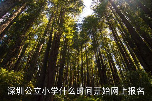 深圳市小一年級報名時間，深圳小學報名時間