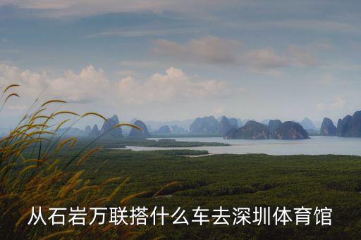 石巖萬聯搭什么車去深圳，我在寶安石巖萬聯想問坐什么車可以到深圳火車站