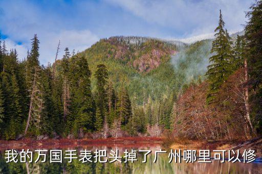 我的萬國手表把頭掉了廣州哪里可以修