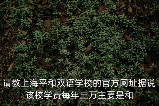 請教上海平和雙語學校的官方網址據說該校學費每年三萬主要是和