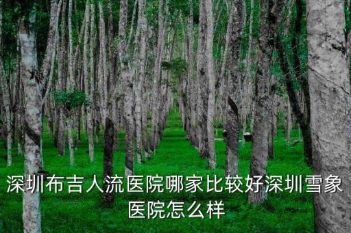 布吉打胎問深圳怡康，深圳布吉人流醫院哪家比較好深圳雪象醫院怎么樣