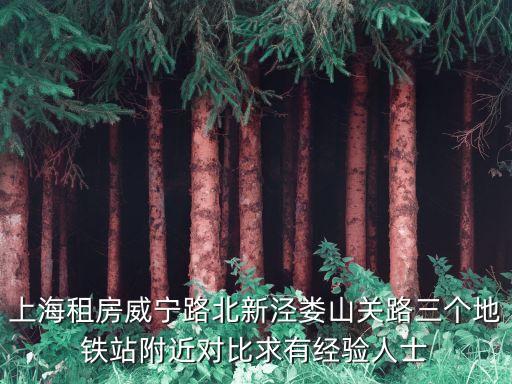 上海租房威寧路北新涇婁山關路三個地鐵站附近對比求有經驗人士