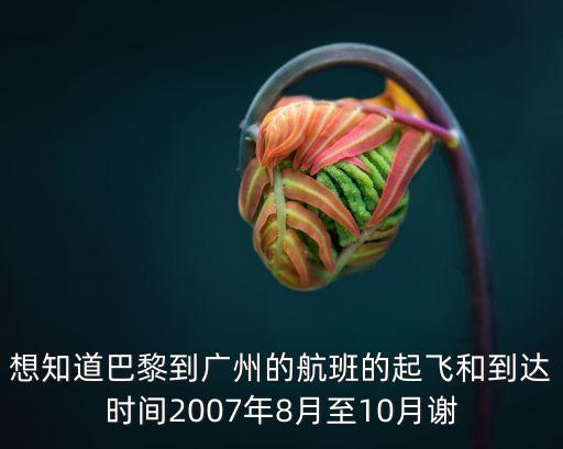 3月13日巴黎到廣州的航班號，CZ348南方航空巴黎直飛廣州的準確時間
