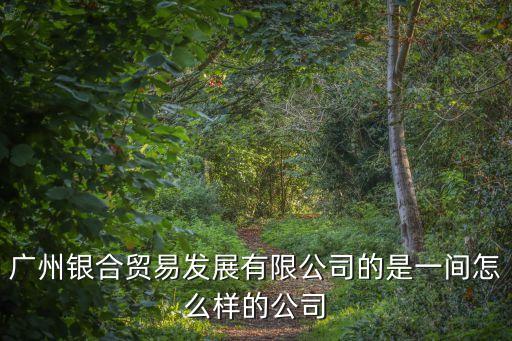 廣州銀合貿易發展有限公司的是一間怎么樣的公司