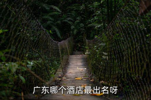廣東哪個(gè)酒店最出名呀