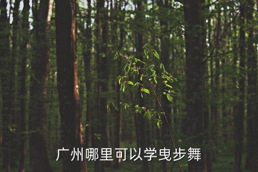 廣州曳步舞教學，廣州哪里有可以學鬼步舞的