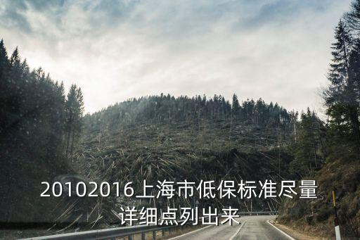上海市何年實行低保政策，上海低保新政策