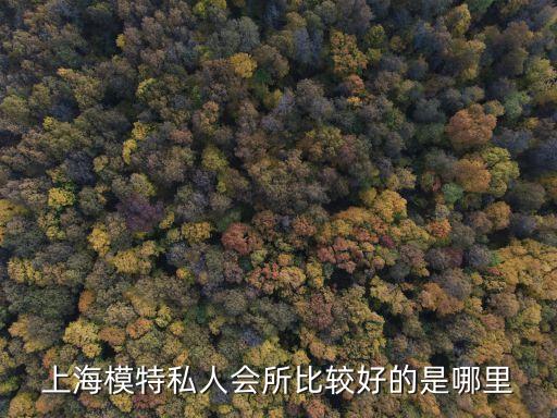 上海市私人會(huì)所哪里有，上海哪家的私人婚禮會(huì)所好