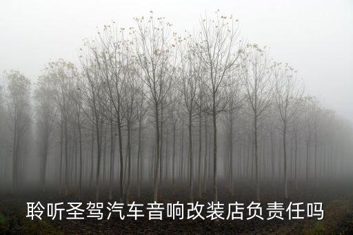 聆聽圣駕汽車音響改裝店負(fù)責(zé)任嗎