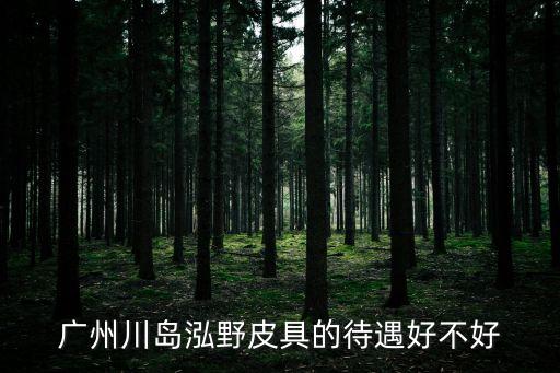 廣州川島泓野皮具的待遇好不好