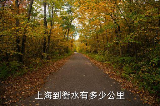 上海市至河北衡水公里數(shù)，上海到衡水幾公里