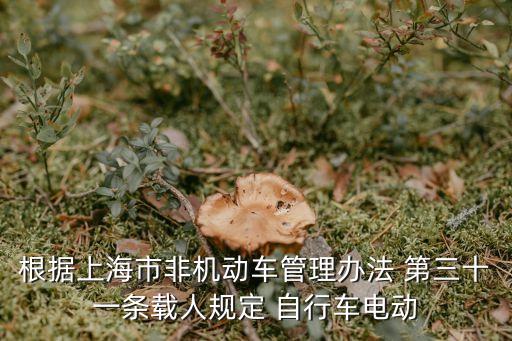 上海市非機動車管理條例全文，根據上海市非機動車管理辦法 第三十一條載人規定 自行車電動
