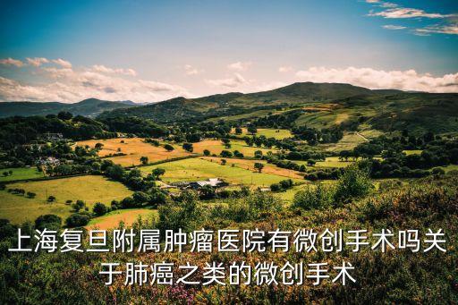 上海市腫瘤醫院胸外科微創，上海腫瘤醫院乳腺微創手術