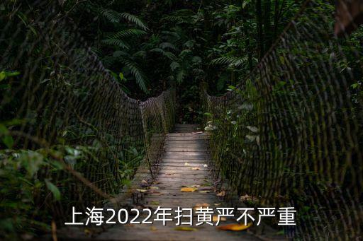 上海市三橋路掃黃工作，上海這個(gè)城市該嚴(yán)打掃黃了
