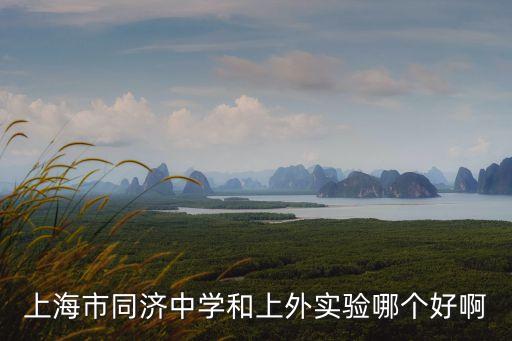 上海市同濟中學是區重點嗎，楊浦區同濟一附中是區重點還是市重點