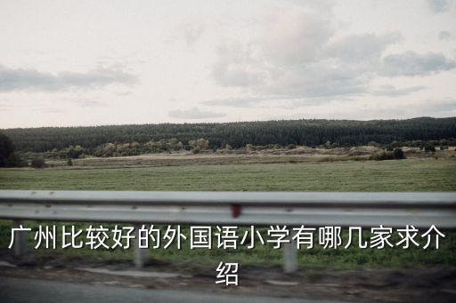 廣州比較好的外國語小學有哪幾家求介紹