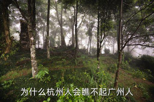 為什么杭州人會瞧不起廣州人