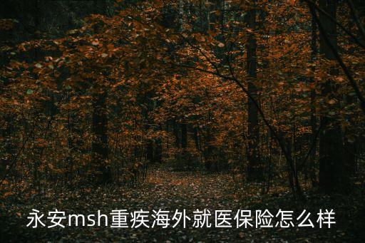 永安msh重疾海外就醫(yī)保險怎么樣