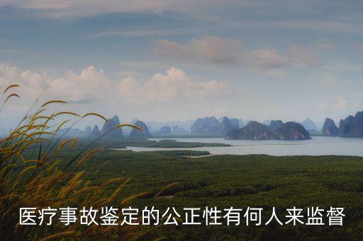 上海市醫學會疝學組委員馮壽全，醫療事故鑒定的公正性有何人來監督