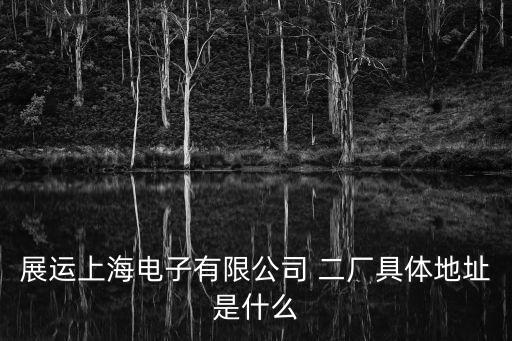 展運上海電子有限公司 二廠具體地址是什么