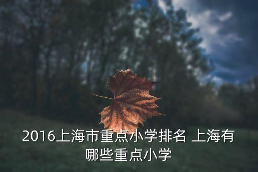 上海市小學一二三梯隊，我想知道上海重點小學排名包含民辦及國際