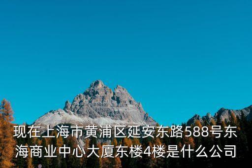 現(xiàn)在上海市黃浦區(qū)延安東路588號東海商業(yè)中心大廈東樓4樓是什么公司