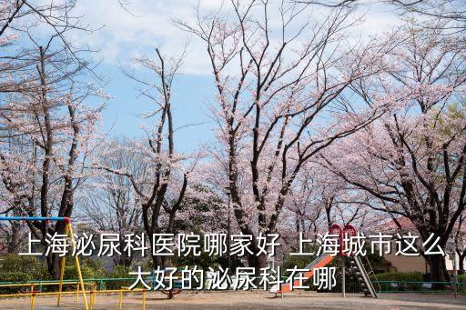 上海泌尿科醫(yī)院哪家好 上海城市這么大好的泌尿科在哪