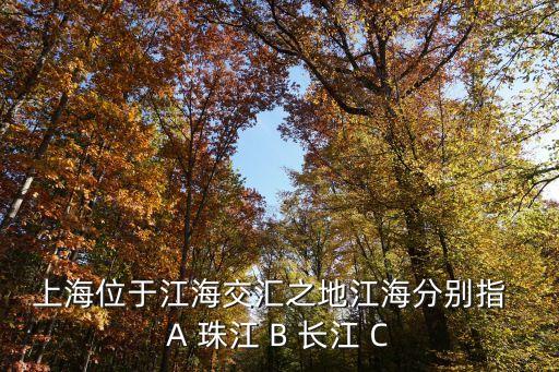 上海市地處江海交匯之地，上海位于甚于什么河流交匯處