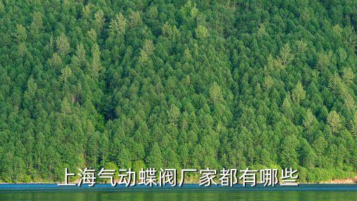 上海氣動(dòng)蝶閥廠家都有哪些