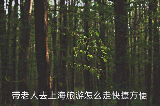 帶媽媽去上海市區(qū)可以，準(zhǔn)備和老媽去上海旅游住在虹橋機(jī)場(chǎng)附近在線求旅游路線