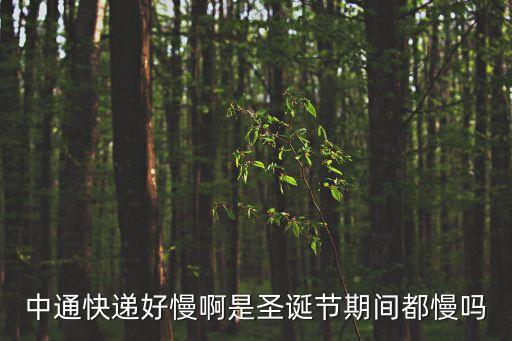 上海市調度中心處長，上海市延安西路900號
