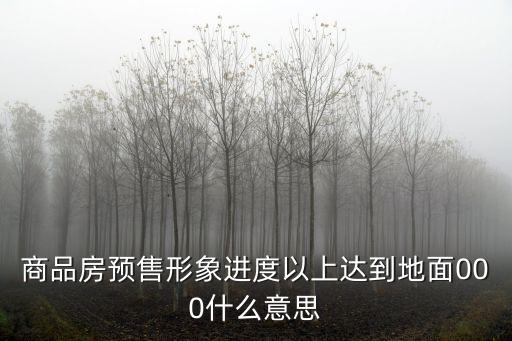 商品房預售形象進度以上達到地面000什么意思