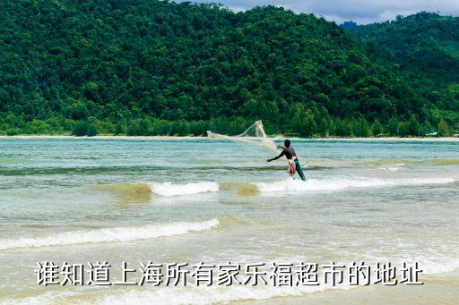 誰知道上海所有家樂福超市的地址