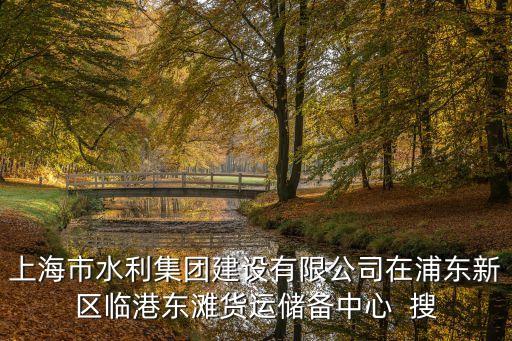 上海市水利集團建設有限公司在浦東新區臨港東灘貨運儲備中心  搜