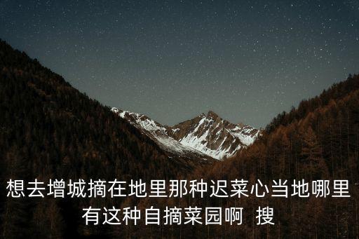 廣州增城菜園路，想去增城摘在地里那種遲菜心當地哪里有這種自摘菜園啊  搜
