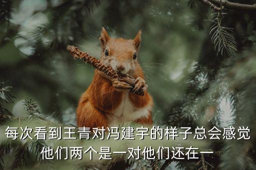每次看到王青對馮建宇的樣子總會感覺他們兩個是一對他們還在一