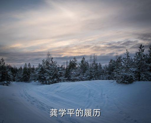 龔學平的履歷