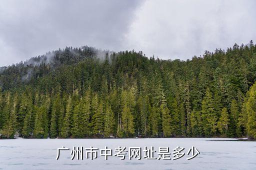 廣州市中考網址是多少