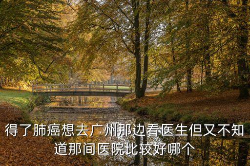 得了肺癌想去廣州那邊看醫生但又不知道那間醫院比較好哪個
