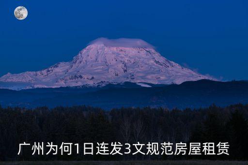 加快發展廣州租賃，政府的租購同權正實執行了嗎