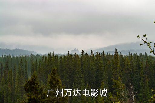 廣州萬達(dá) 電影，關(guān)于廣州萬達(dá)電影城