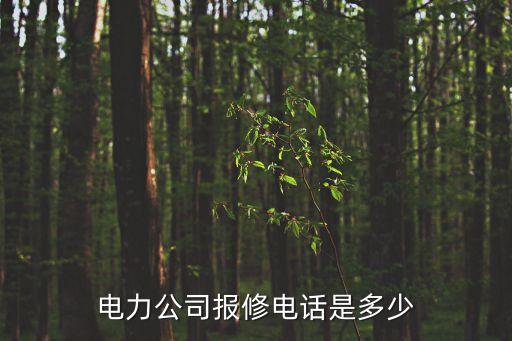 上海市崇明區新河鎮電力報修電話，那西洞庭什么快遞能送到啊