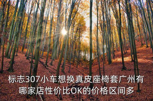 標(biāo)志307小車想換真皮座椅套廣州有哪家店性價(jià)比OK的價(jià)格區(qū)間多