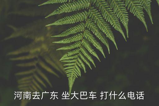 河南去廣東 坐大巴車 打什么電話