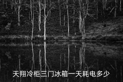 上海市天翔綠能有限公司，動態電容補償柜哪家公司品質好