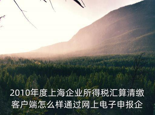 2010年度上海企業所得稅匯算清繳客戶端怎么樣通過網上電子申報企